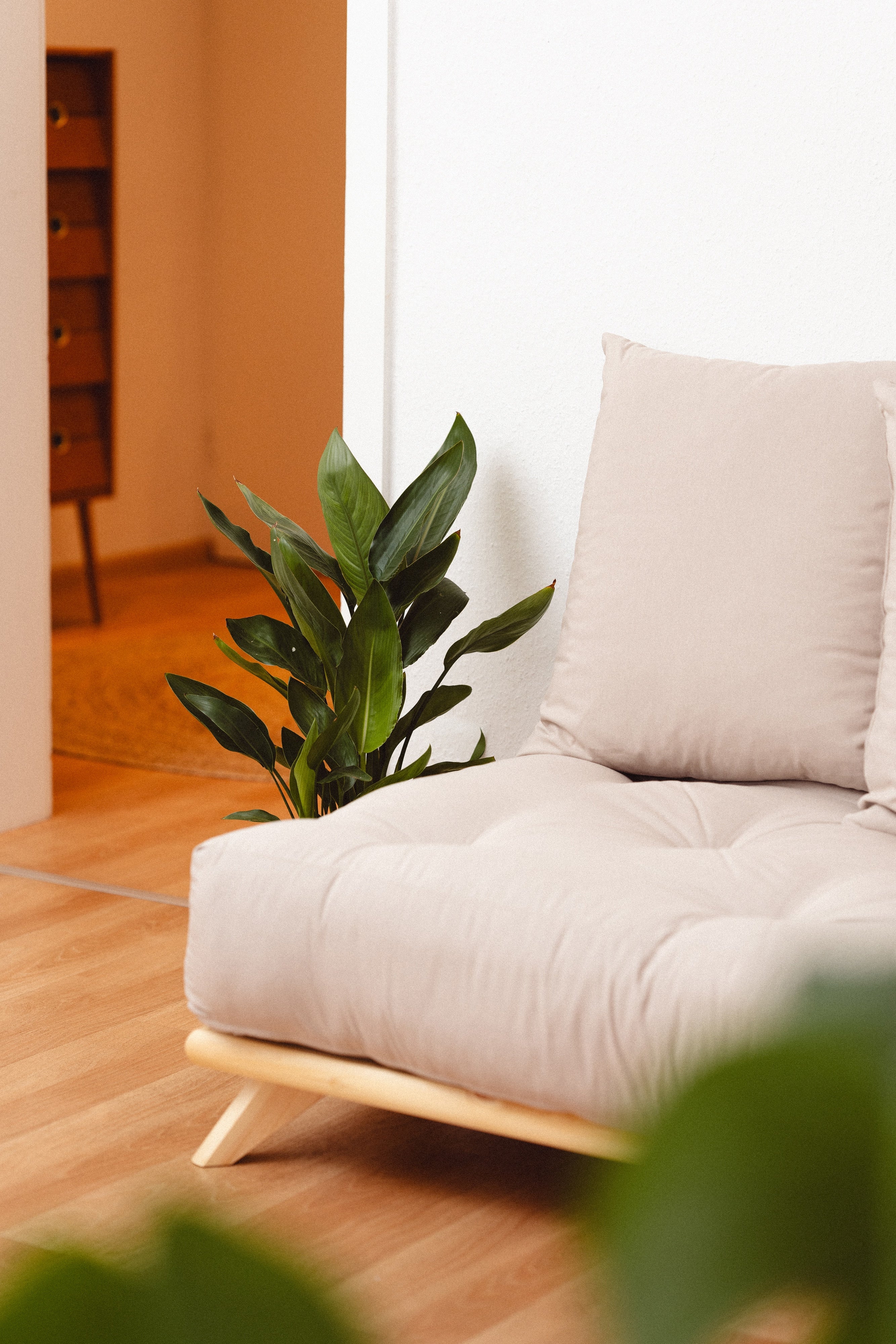 SENZA DAYBED CLAQUÉ TRANSPARENT AVEC ENSEMBLE MATELAS SENZA DAYBED VERT OLIVE